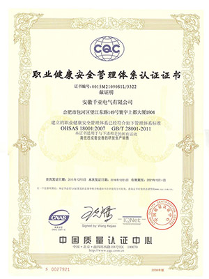 職業(yè)健康安全管理體系認(rèn)證證書(shū)